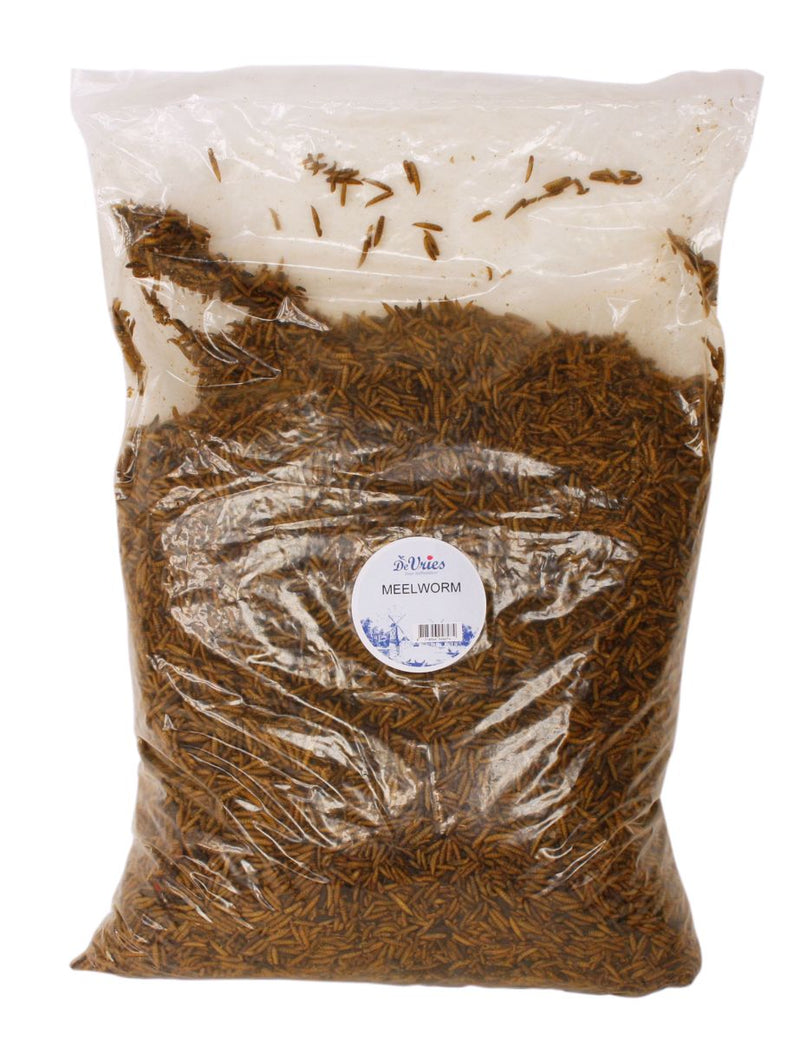 Meelworm Black Soldier Fly De Vries 5 KG