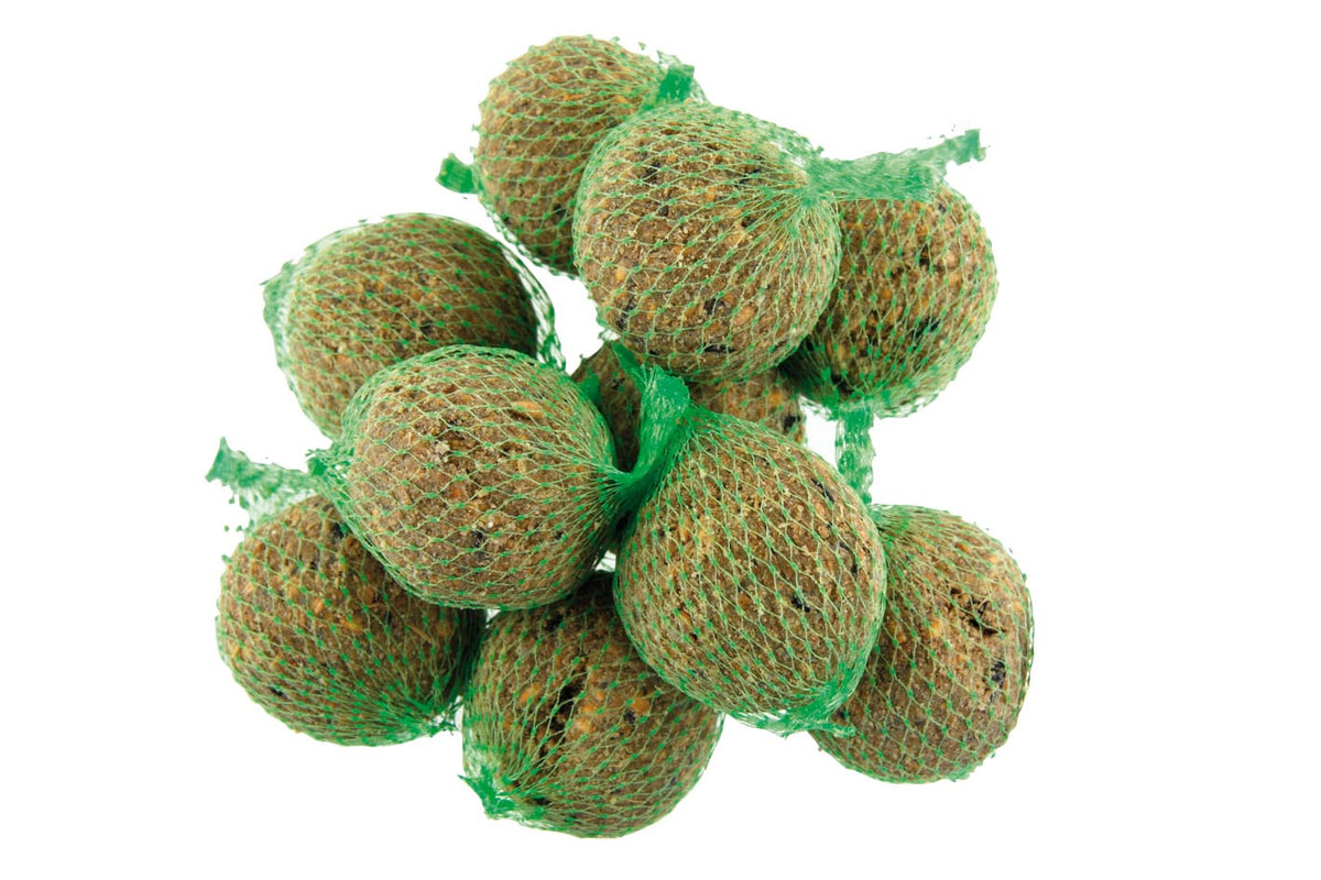 Mezenbollen 100 stuks