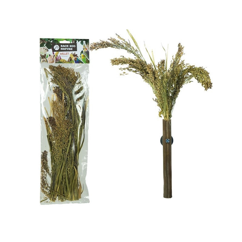 Millet Panicum Back Zoo Nature 40 GR - Sfeer