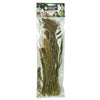 Millet Panicum Back Zoo Nature 40 GR