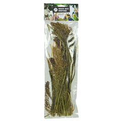 Millet Panicum Back Zoo Nature 40 GR