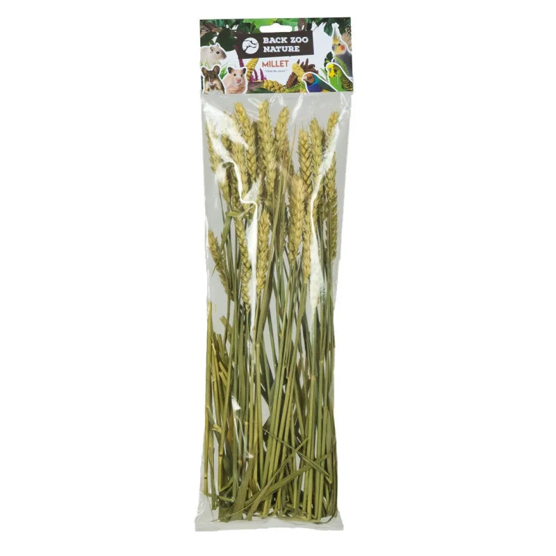 Millet Tarwe Back Zoo Nature 50 gr
