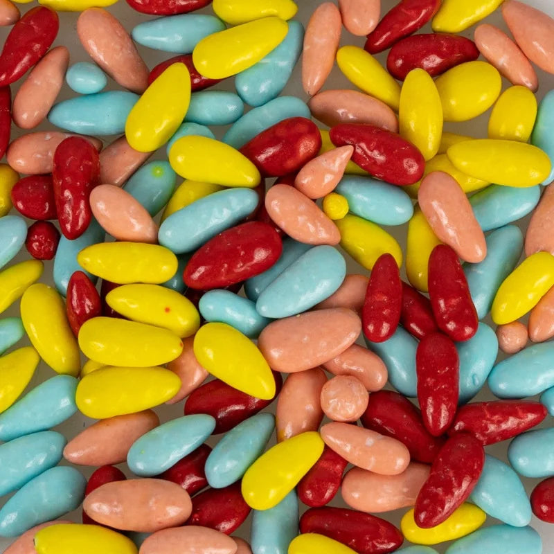 Parrot Sunflower Seed Treats Back Zoo Nature 100 gr - Inhoud 2