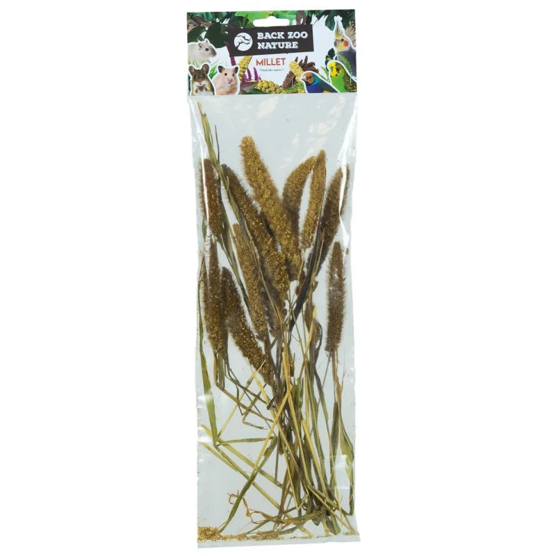 Setaria Italica Back Zoo Nature Millet 50 GR