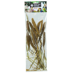 Setaria Italica Back Zoo Nature Millet 50 GR