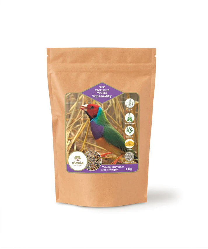 Tropische Vogels Utopia 1 KG