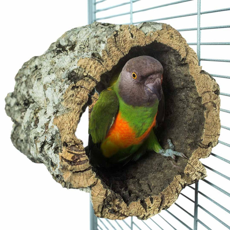 Vogelschuilplaats 'Trunkhut' Back Zoo Nature 20X15-20 cm - Sfeer