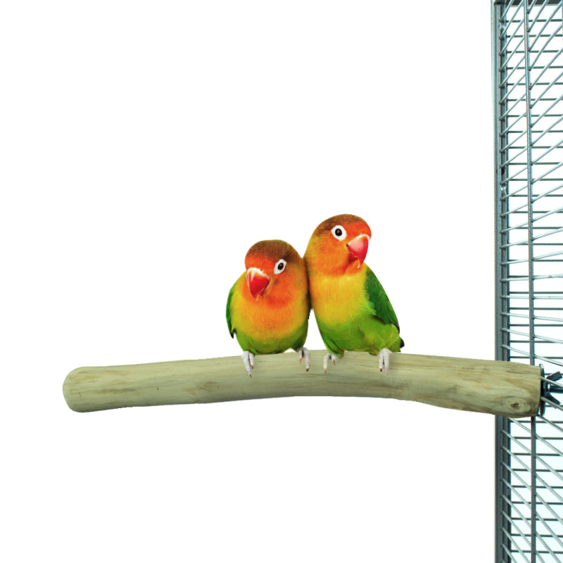Vogelzitstok Java hout Back Zoo 3-4cm - Sfeer