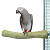 Vogelzitstok Java hout Back Zoo 2,5cm - Sfeer