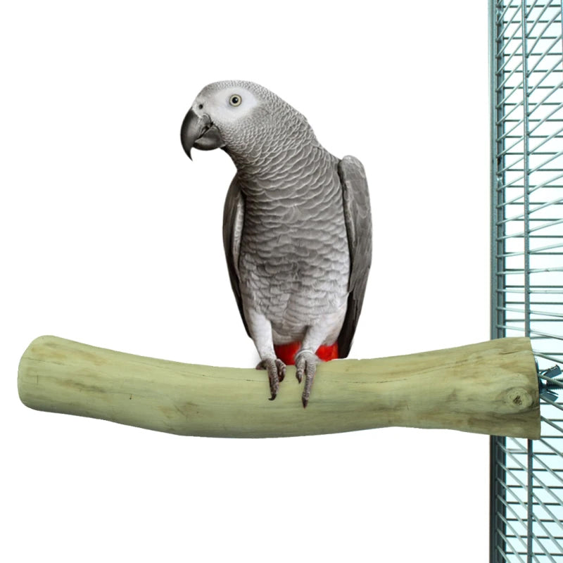 Vogelzitstok Java hout Back Zoo 2,5cm - Sfeer