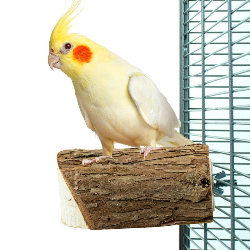 Wood Slice Perch  Back Zoo Nature Hout 10X7,5X3 cm - Sfeer