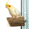 Wood Slice Perch  Back Zoo Nature Hout 10X7,5X3 cm - Sfeer