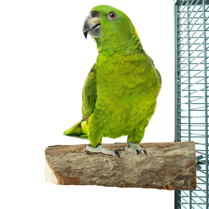 Wood Slice Perch  Back Zoo Nature Hout 17,5X8X3 cm - Sfeer