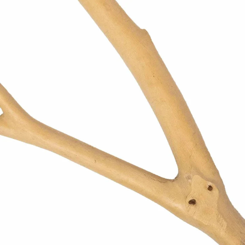 Zitstok 'Multi Branch' Back Zoo Nature Hout 25X28X2 cm - 3