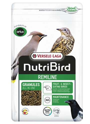 Remiline Pateekorrel Orlux 1 KG